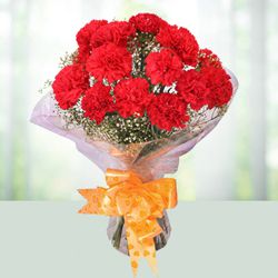 Dreamy Red Coloured Carnations Arrangement Dreamy Red Coloured Carnations Arrangement