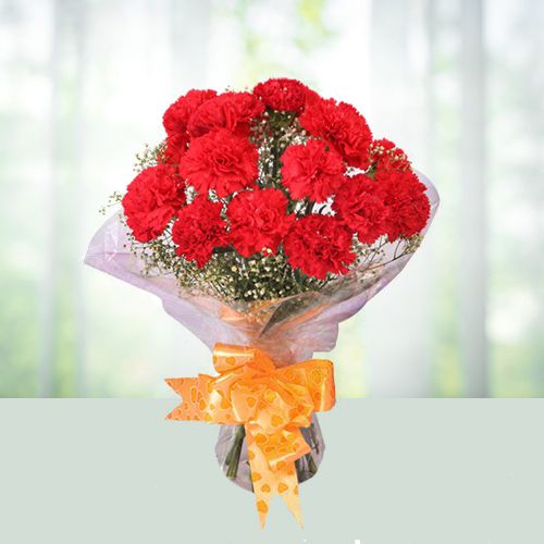 Dreamy Red Coloured Carnations Arrangement Dreamy Red Coloured Carnations Arrangement