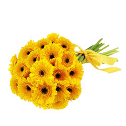 Lovely Collection of Yellow Gerberas Lovely Collection of Yellow Gerberas