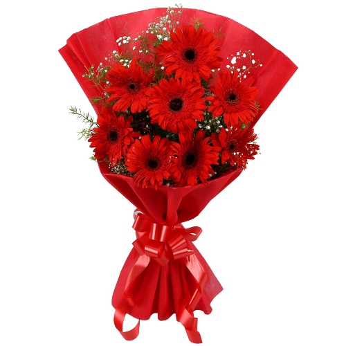 Luminous Pure Passion Bouquet of Gerberas Luminous Pure Passion Bouquet of Gerberas