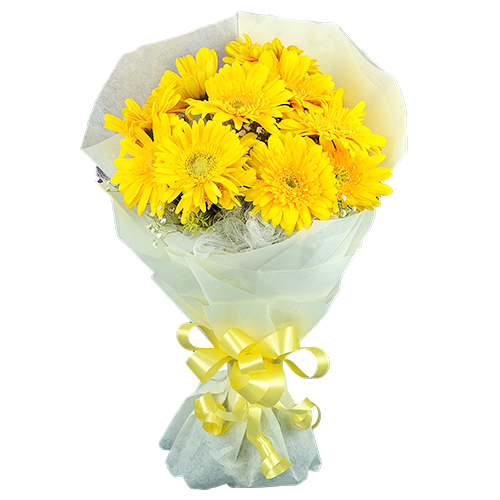 Delightful Yellow Coloured Gerberas Collection Delightful Yellow Coloured Gerberas Collection