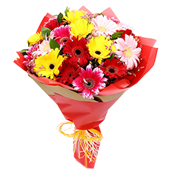 Sophisticated Presentation of Mixed Gerberas Sophisticated Presentation of Mixed Gerberas