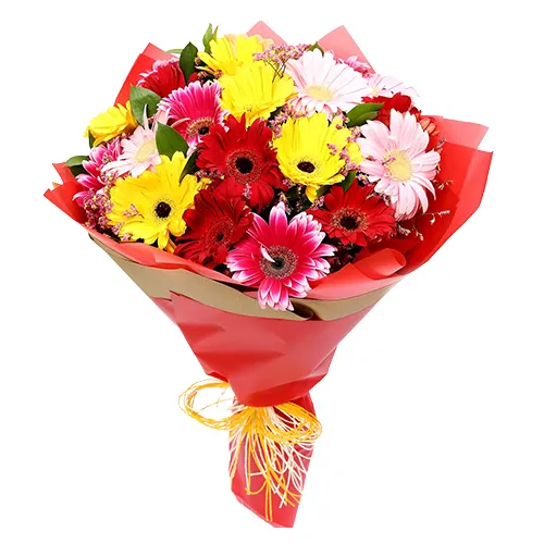 Sophisticated Presentation of Mixed Gerberas