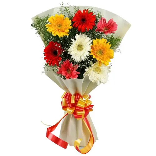 Majestic Gift of Fifteen Multi-hued Gerberas Bunch