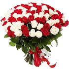 Heavenly Dazzle Red N White Roses Collection Heavenly Dazzle Red N White Roses Collection