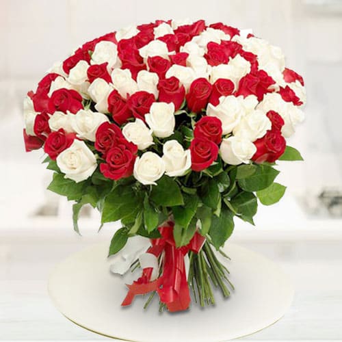 Glorious Attract Red N White Roses Premium Bouquet Glorious Attract Red N White Roses Premium Bouquet