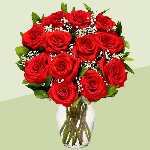 Treasured Display of Blooming Red Rose in a Glass Vase Treasured Display of Blooming Red Rose in a Glass Vase
