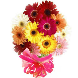 Distinctive Abundance of Love Collection Distinctive Abundance of Love Collection