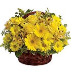 Exotic Passion for Fashion Yellow Flowers Basket Exotic Passion for Fashion Yellow Flowers Basket