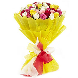 Glorious Tropical Bliss 24 Mixed Roses Collection Glorious Tropical Bliss 24 Mixed Roses Collection