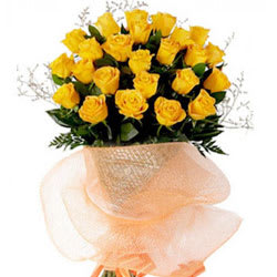 Classic Special Beauty of Yellow Roses Collection Classic Special Beauty of Yellow Roses Collection