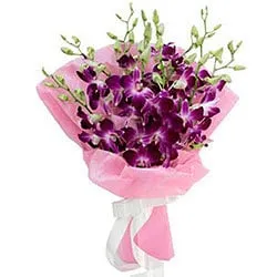 True Romantic Eight Orchid Stems Bunch