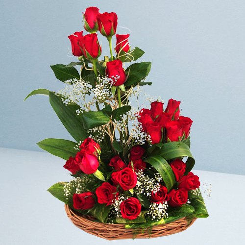 Bright 25 Dutch Red Roses Surprise Basket Bright 25 Dutch Red Roses Surprise Basket