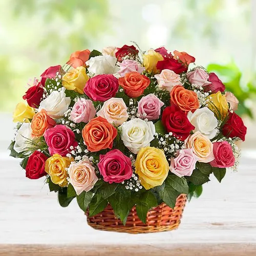 Sweetest Mixed Roses Collection