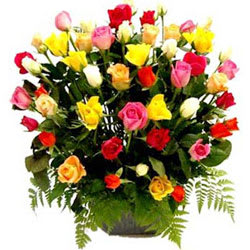 Gorgeous Basket of Mixed Coloured Roses Collection Gorgeous Basket of Mixed Coloured Roses Collection