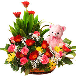 Passionate Basket of Gerbera N Roses with a Teddy Passionate Basket of Gerbera N Roses with a Teddy
