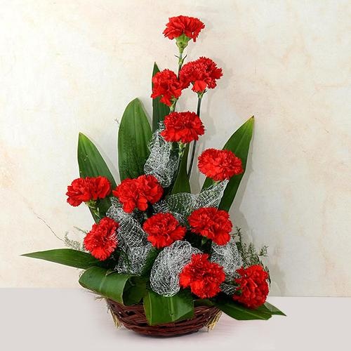 Eye-Catching Arrangement of Red Carnations Eye-Catching Arrangement of Red Carnations