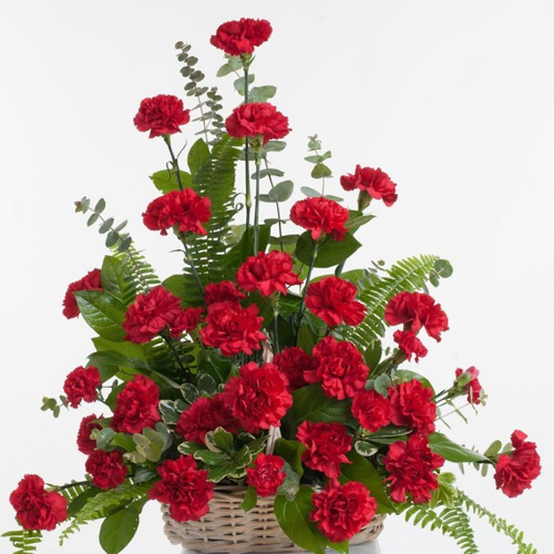 Chic Sweetheart Floral Selection of Red Carnations Chic Sweetheart Floral Selection of Red Carnations