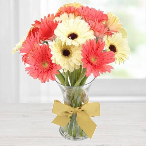 Aromatic Affection Gerbera Assemblage Aromatic Affection Gerbera Assemblage