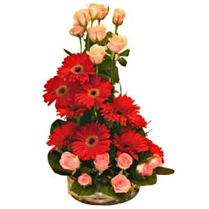 Order Gerberas and Roses Arrangement