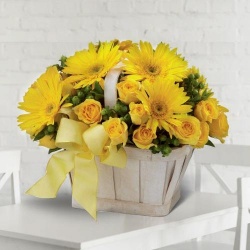 Nurtured Novelty Gerberas and Roses Arrangement Nurtured Novelty Gerberas and Roses Arrangement
