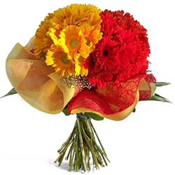 Glistening Grace Gerberas Special Bouquet Glistening Grace Gerberas Special Bouquet
