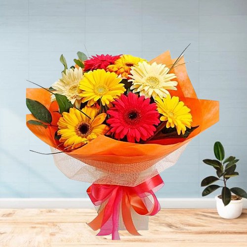 Flourishing Pomp Gerberas Bouquet Flourishing Pomp Gerberas Bouquet