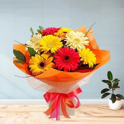 Flourishing Pomp Gerberas Bouquet