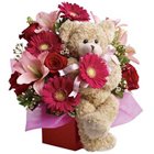Augment-to-Adoration Premium Arrangement Augment-to-Adoration Premium Arrangement