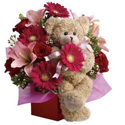Augment-to-Adoration Premium Arrangement Augment-to-Adoration Premium Arrangement