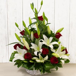 Energetic Special Premium Arrangement of Adorning Flowers Energetic Special Premium Arrangement of Adorning Flowers