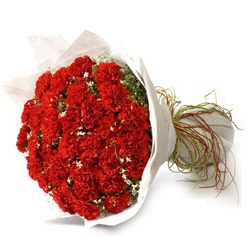 Good Looking Bouquet of Red Carnations Good Looking Bouquet of Red Carnations