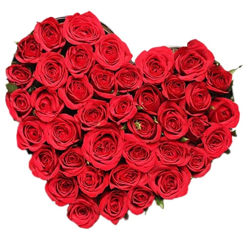 Glamorous Heart Shape Arrangement of 100 Red Roses