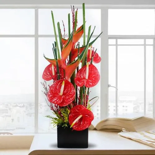 Wonderful Red Anthurium n BOP Arrangement in Black Box