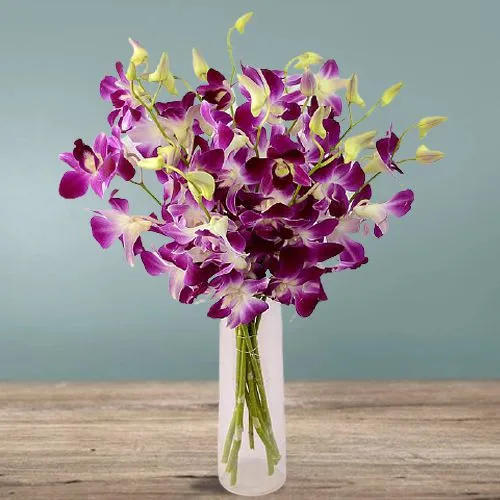 Heavenly Charm of 12 Purple Orchids in Vase