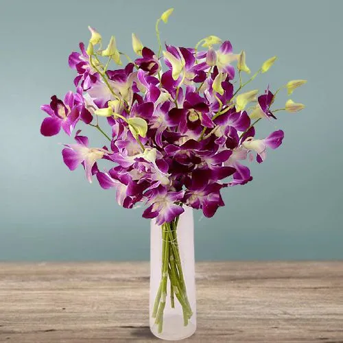 Heavenly Charm of 12 Purple Orchids in Vase Heavenly Charm of 12 Purple Orchids in Vase