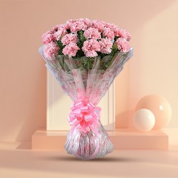 Deliver an attractive Pink Carnations Bouquet Deliver an attractive Pink Carnations Bouquet