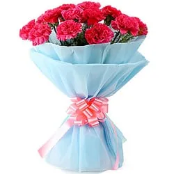 Deliver a petite Bouquet of Pink Carnations (tissue wrapped)
