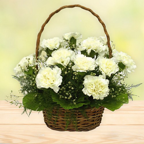 Deliver this attractive White Carnations basket Deliver this attractive White Carnations basket