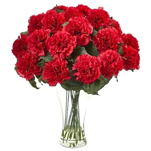 Now deliver these petite Red Carnations in a special glass vase