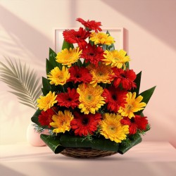 Bright Arrangement of Red & Yellow Color Gerberas
Bright Arrangement of Red & Yellow Color Gerberas