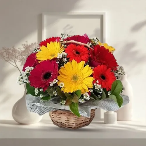 Breathtaking Arrangement of One Doz Assorted Gerberas
