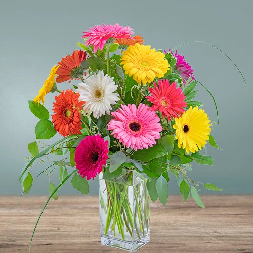 Eye-Catching display of Colorful One Dozen Gerberas in a Glass Vase
Eye-Catching display of Colorful One Dozen Gerberas in a Glass Vase