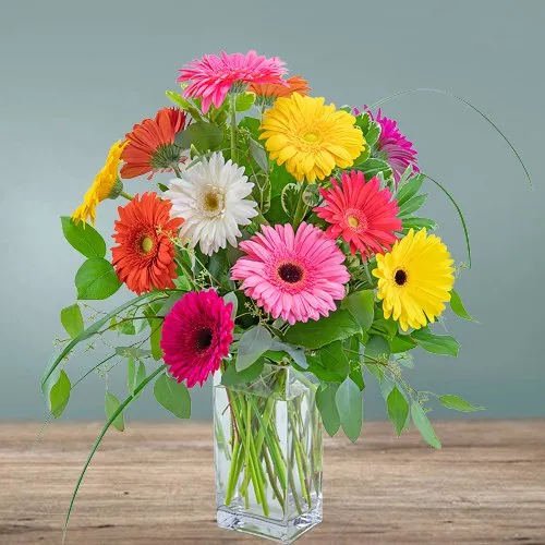 Eye-Catching display of Colorful One Dozen Gerberas in a Glass Vase
