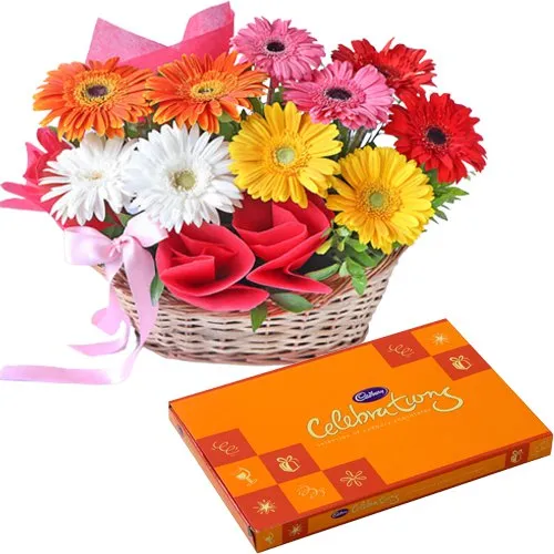 Blissful Cadbury Celebrations Pack with Assorted Gerberas Basket
