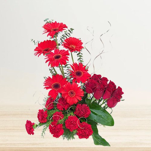 Radiant assemble of Red Carnations, Roses & Gerberas Radiant assemble of Red Carnations, Roses & Gerberas