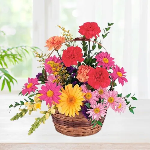 Radiant Carnations and Gerberas display in a Basket