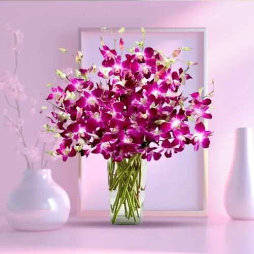 Exotic Orchids Presented in a Glass Vase Exotic Orchids Presented in a Glass Vase