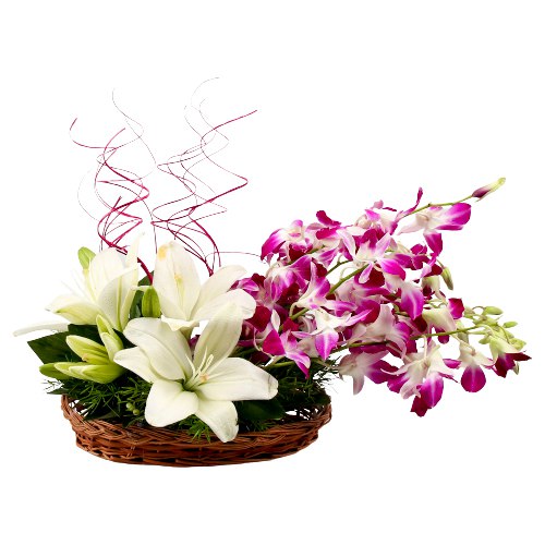Blooming White lilies with Orchids Basket Arrangement Blooming White lilies with Orchids Basket Arrangement