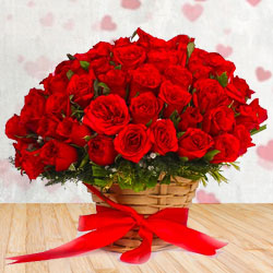 Wonderful Red Roses Bunch with Filler Flowers
Wonderful Red Roses Bunch with Filler Flowers